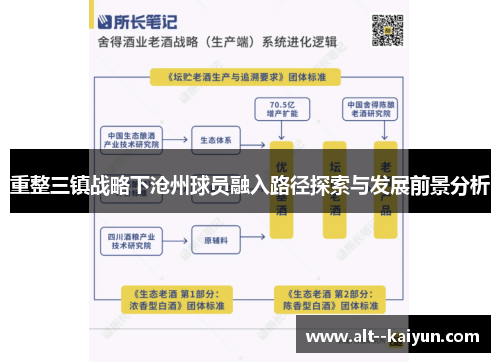 重整三镇战略下沧州球员融入路径探索与发展前景分析